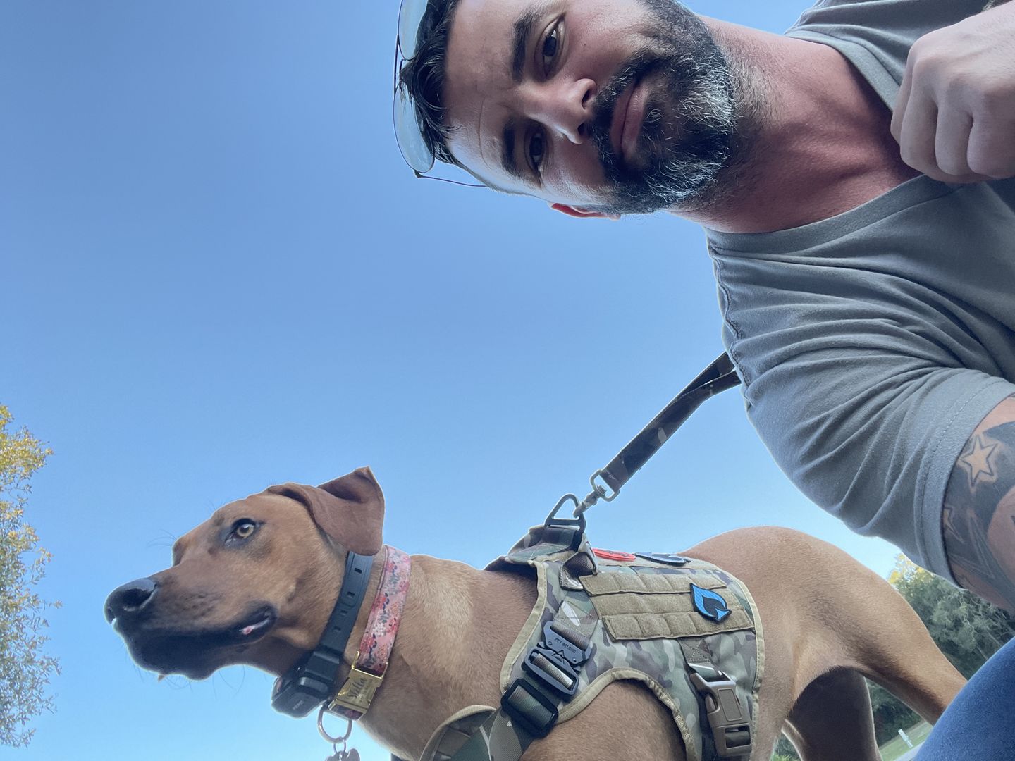 Customer photo review of Tactical No Pull Dog Harness v2