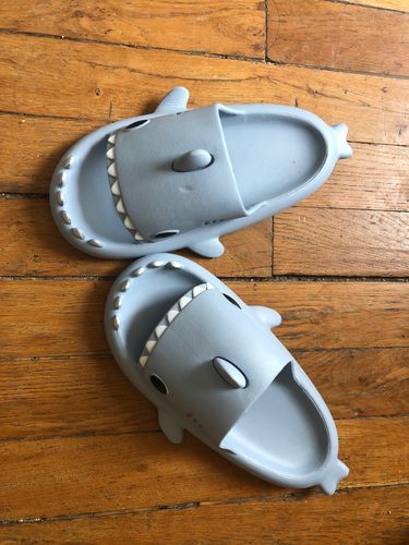 Customer photo review of The Original Shark Slides