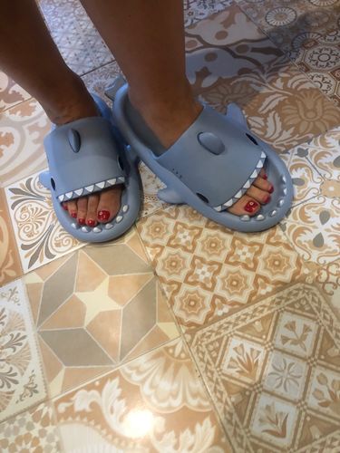 Customer photo review of The Original Shark Slides