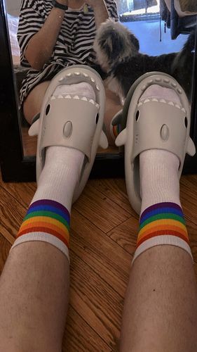 Customer photo review of The Original Shark Slides