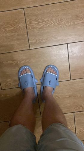 Customer photo review of The Original Shark Slides