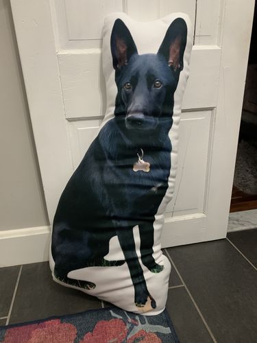 Customer photo review of Create A Custom Dog Pillow