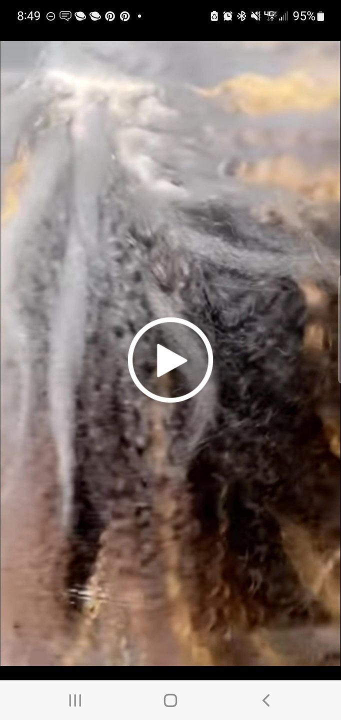 Customer video review of Natural Color Body Wave Micro Loop Hair Extension