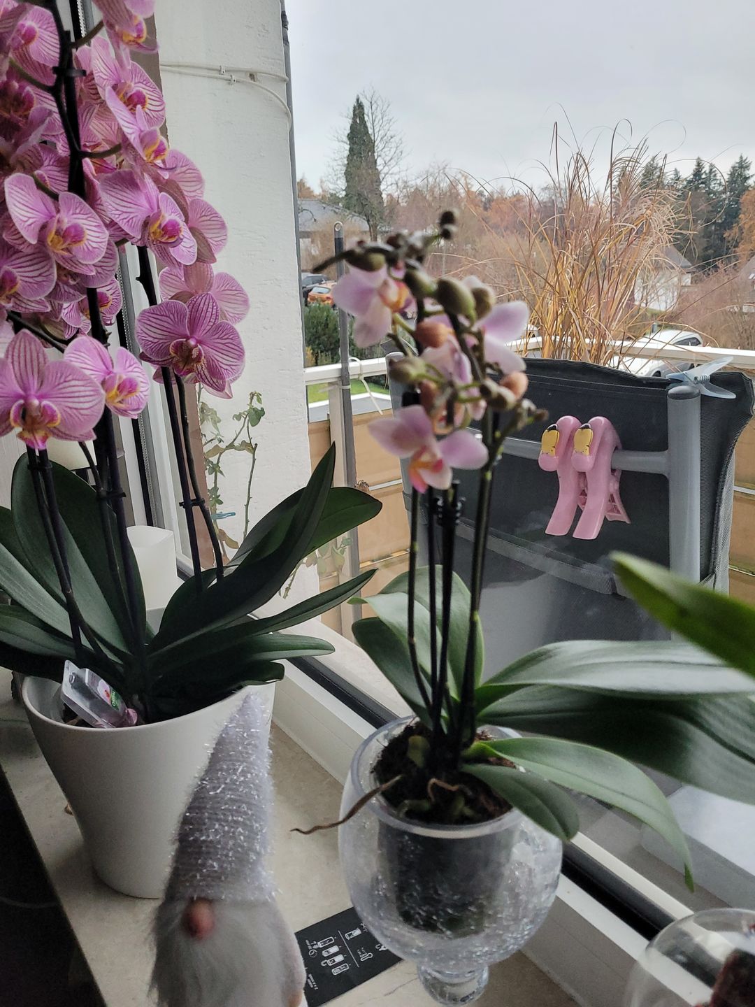 Customer photo review of Table Dance Pia mit rosa Blüten und 3+ Stielen