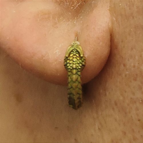 Customer photo review of Ouroboros Earrings
