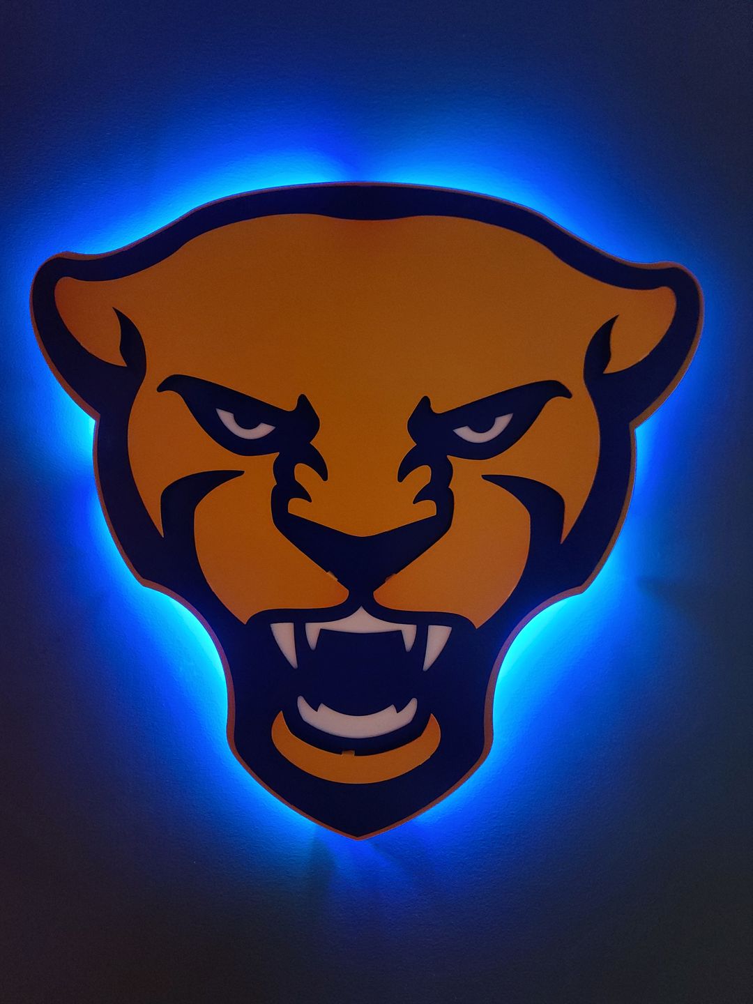 Customer photo review of Pittsburgh Panther Mascot 3D Vintage Metal Wall Art