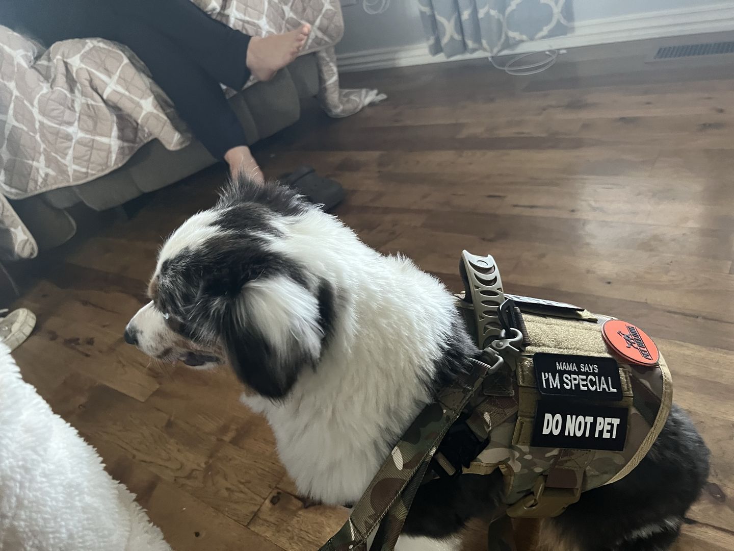 Customer photo review of Tactical Starter Pack