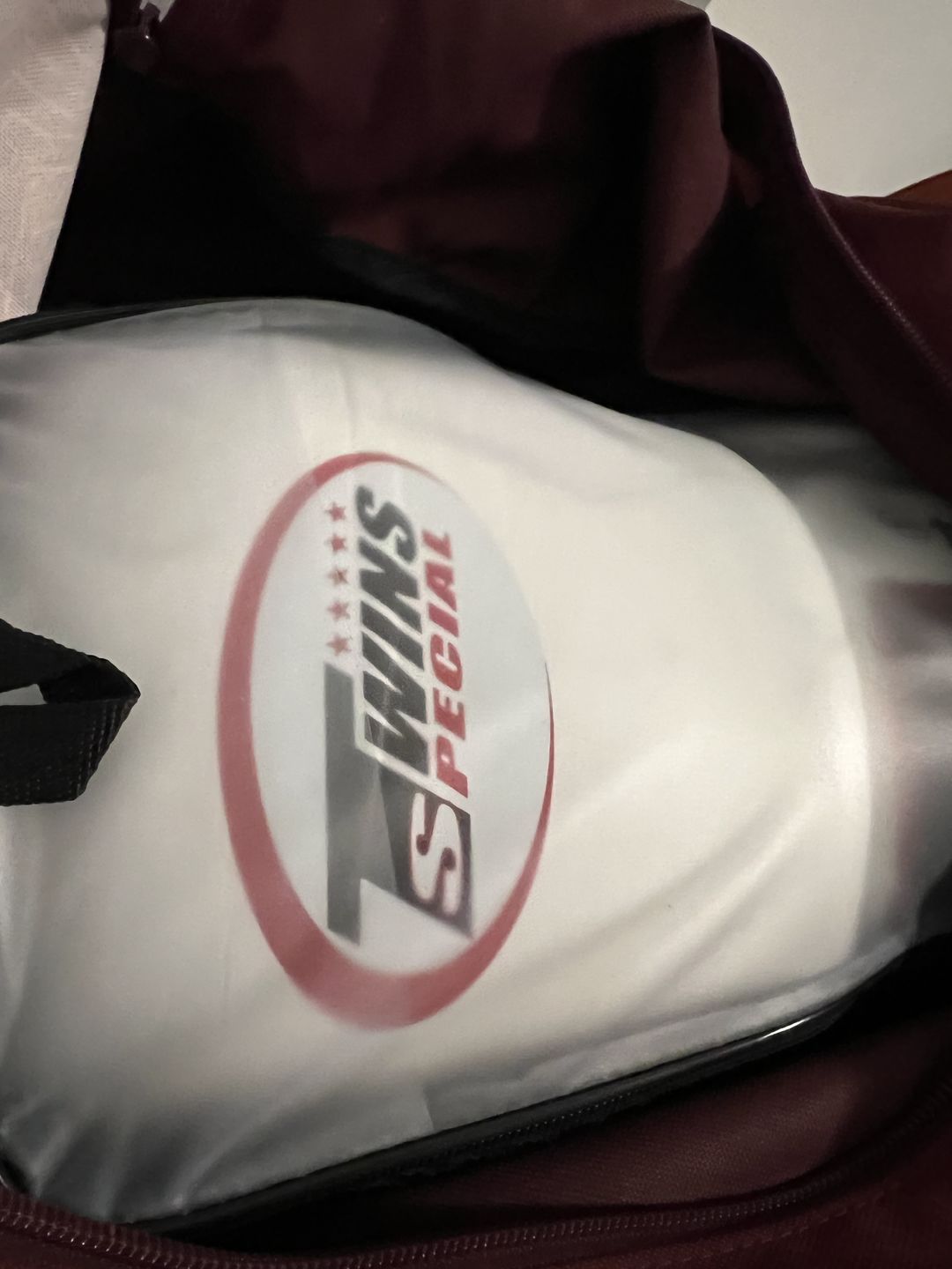 Customer photo review of Twins Special BGVL3 White Velcro Boxing Gloves
