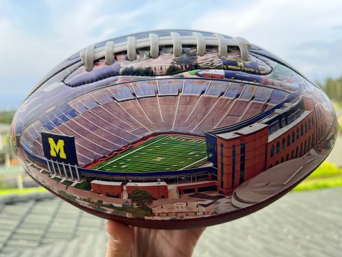 Customer photo review of Michigan Stadium Football University Series