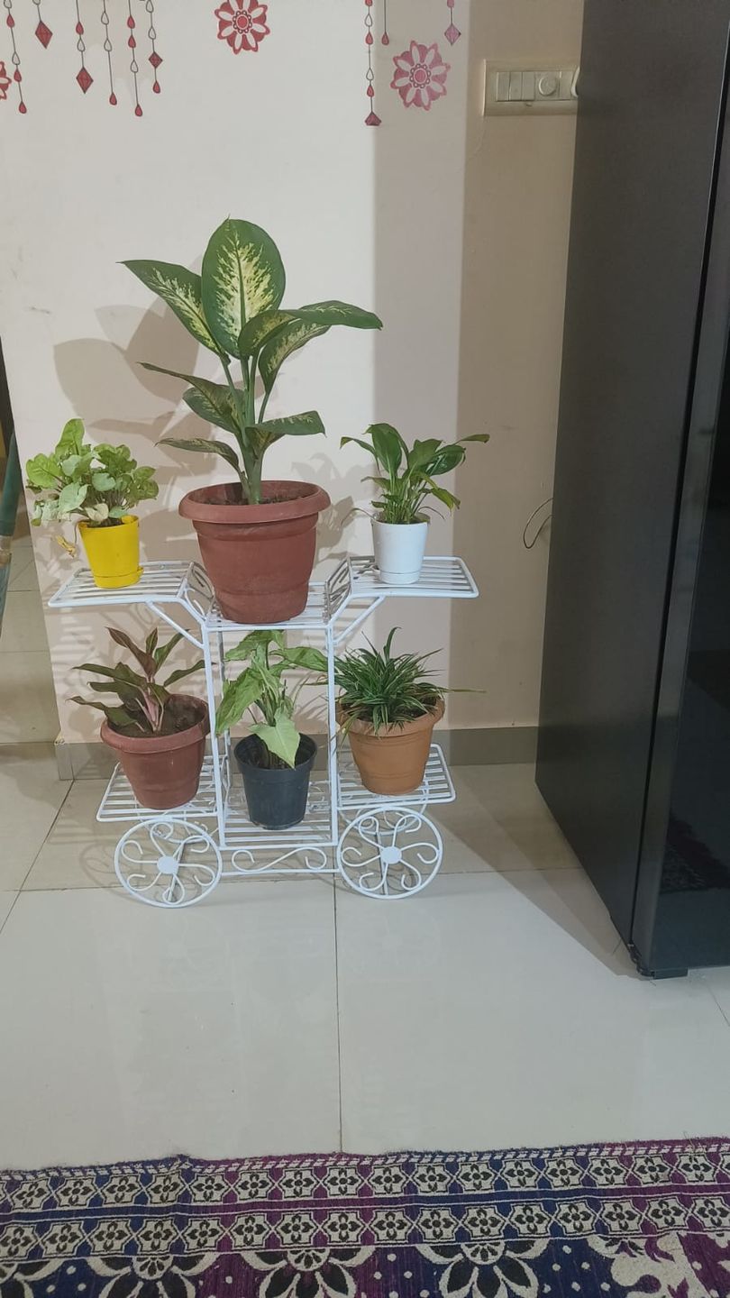 Customer photo review of 6-Tier Cart Planter Stand, Outdoor Flower Rack