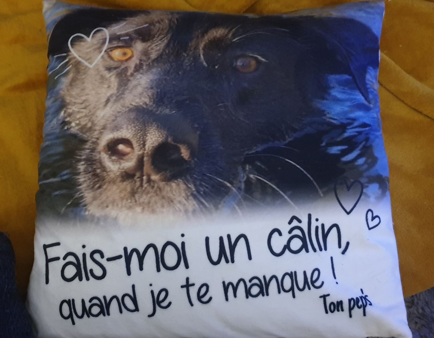 Customer photo review of Fais moi un câlin quand je te manque - Coussin personnalisé