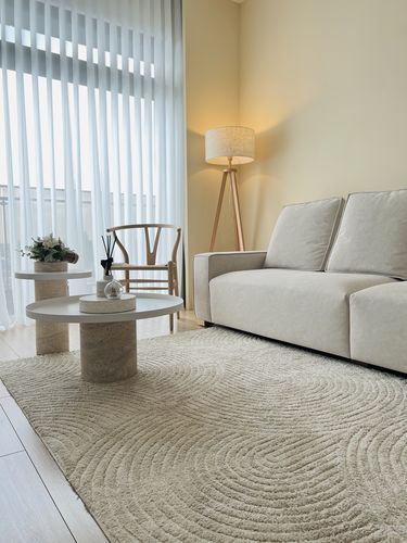 Selin review of 高低毯面 日式枯山水侘寂風方型地毯 image 1 out of 1