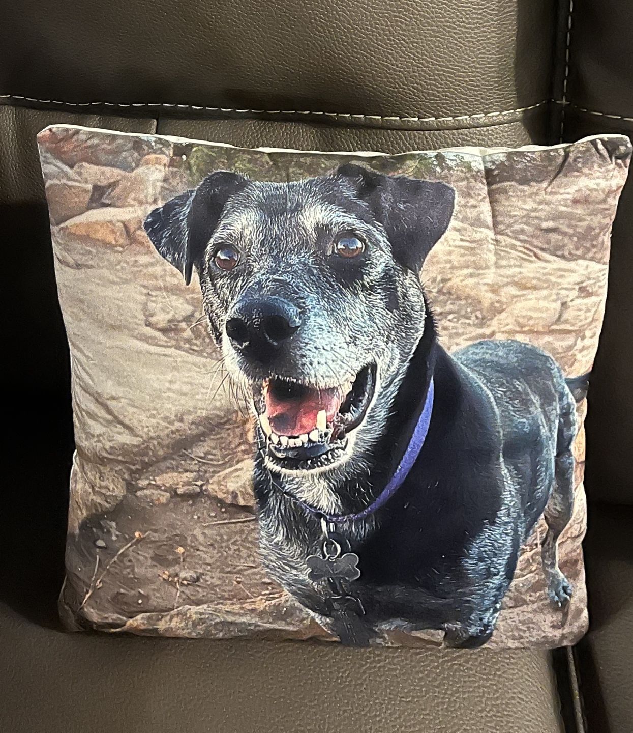 Customer photo review of Custom Photo Pillow with Your Dog Photos, Print Pet Photo on Pillow
