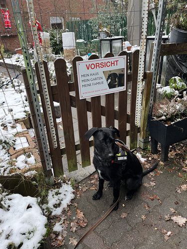 Customer photo review of Personalisierbares -Foto- Schild "Meins"