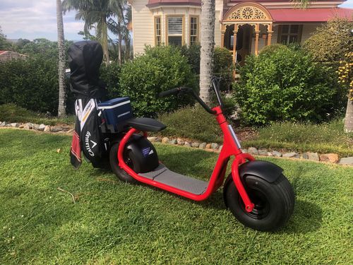 Customer photo review of KAA Speed Fat Tyre Electric Scooter Golf Kit