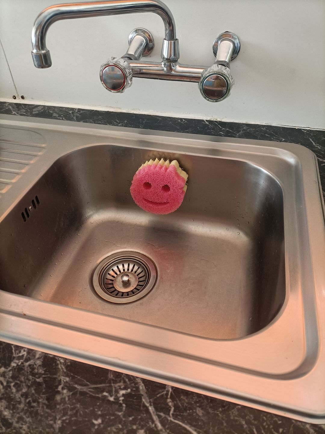 Customer photo review of Scrub Daddy Caddy