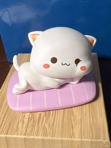 Customer photo review of Mitao Cat Love First Season 2 Blind Box