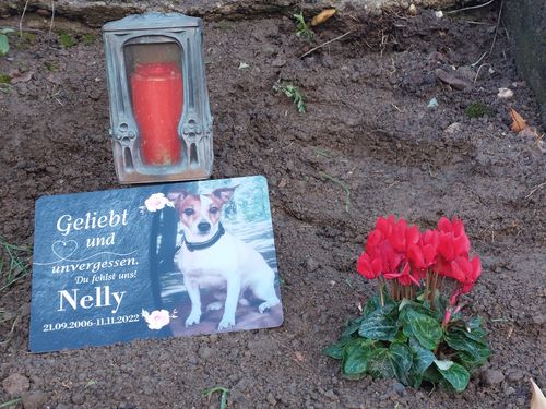 Customer photo review of Hunde Gedenktafel mit Foto & Spruch
