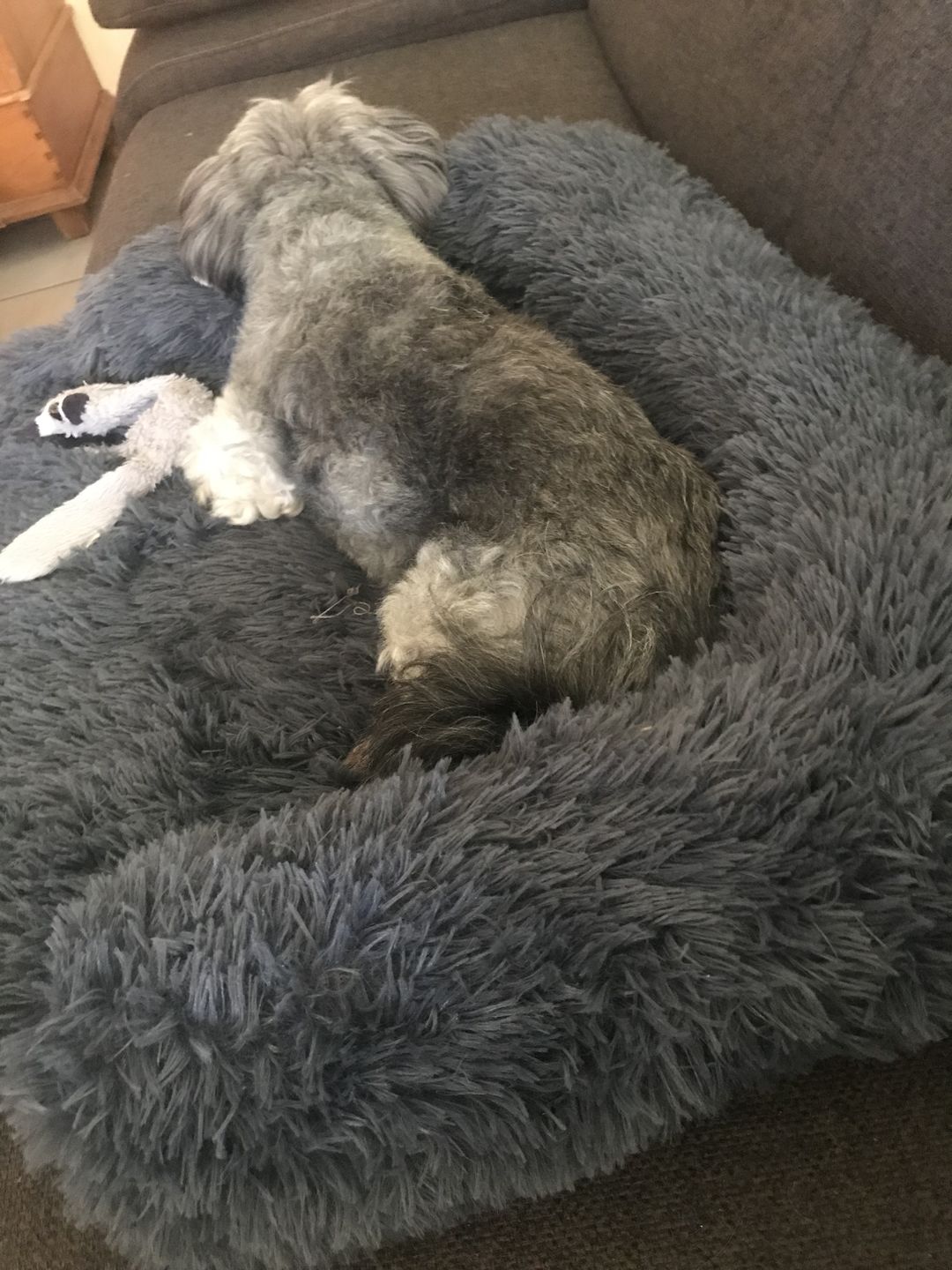 Customer photo review of *NEU* Emmalove - Flauschiges Hundebett für dein Sofa