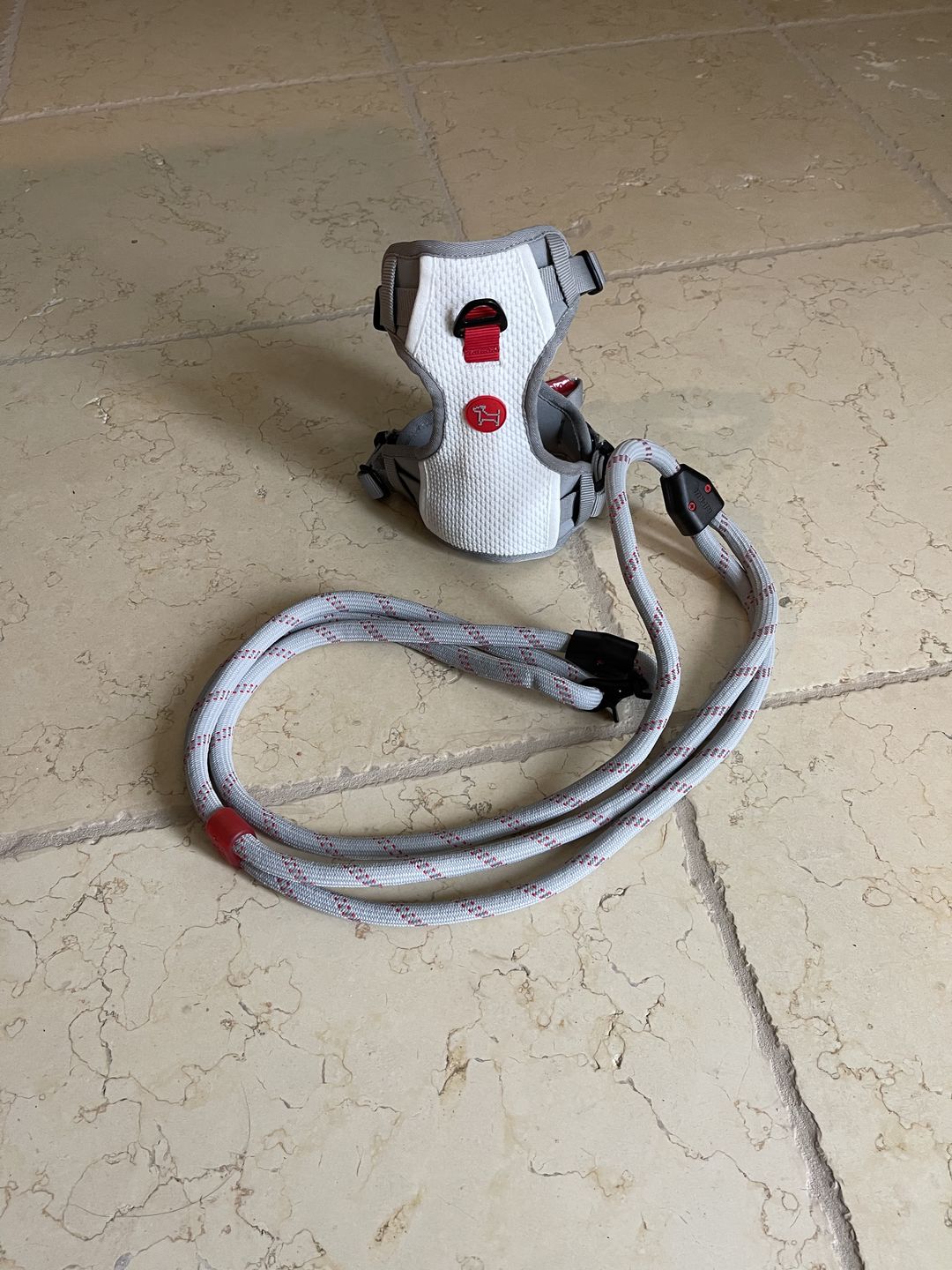Customer photo review of Commuter Harness and Leash Set