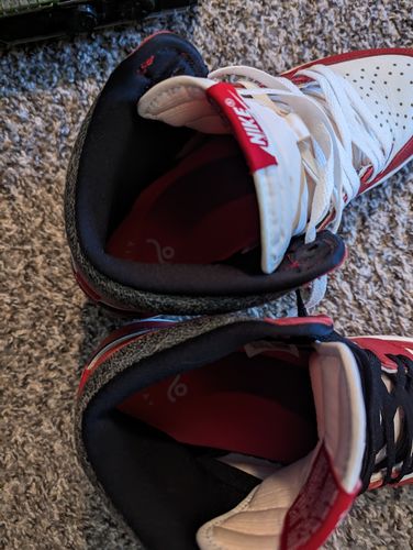 Customer photo review of All Day Insoles