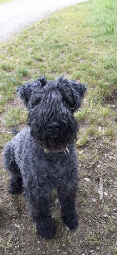 Customer photo review of Relax Time