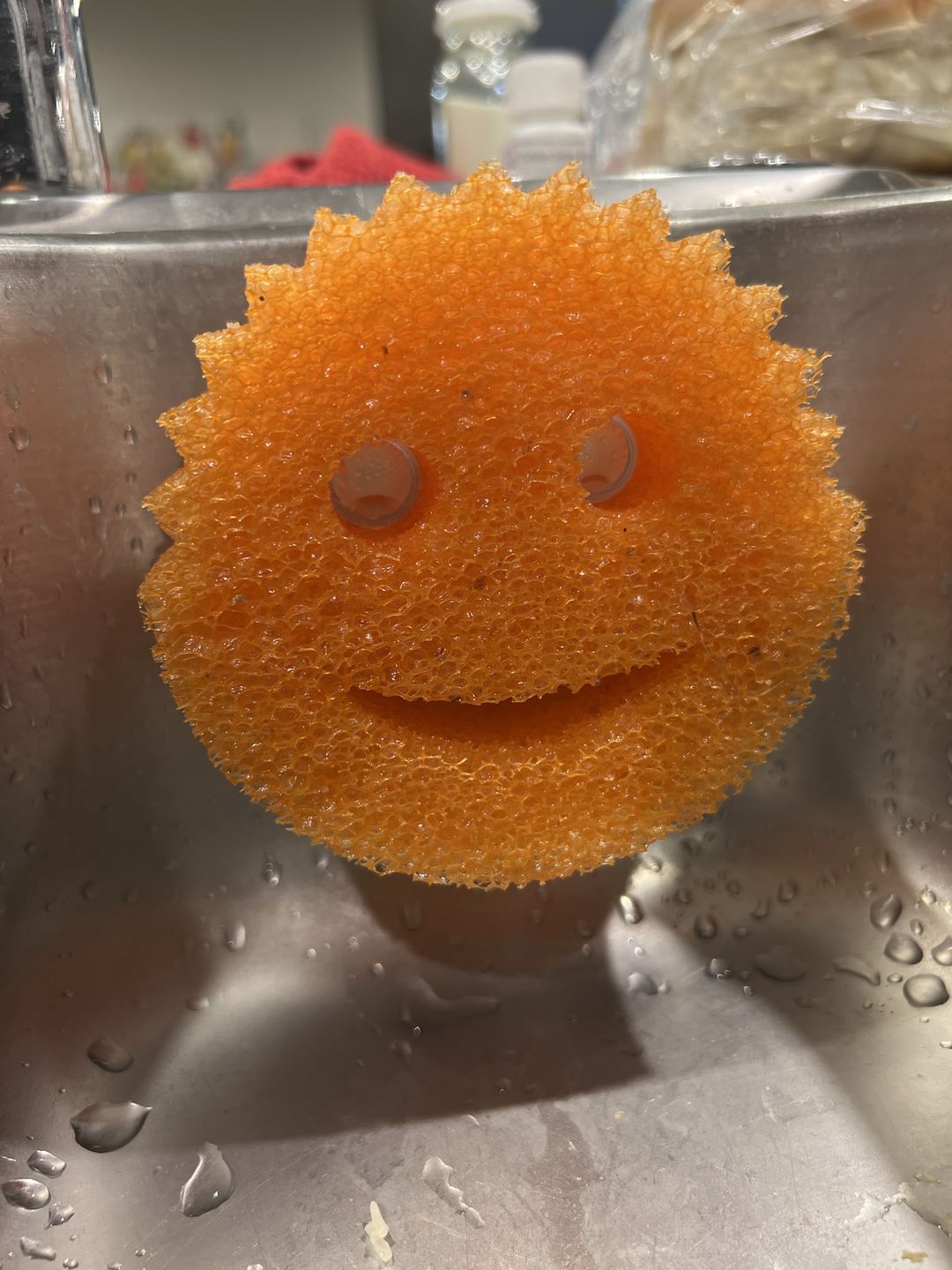Customer photo review of Scrub Daddy Caddy
