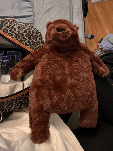 Customer photo review of SKOGGY BEAR
