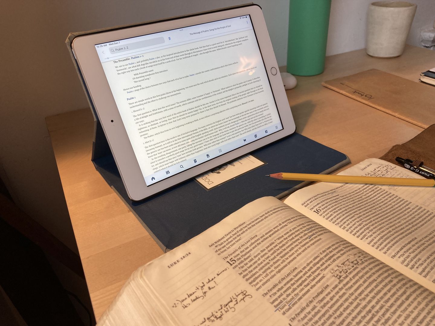 Customer photo review of Traditional Two Tone iPad Case