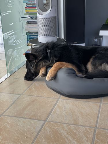 Customer photo review of Relax Time