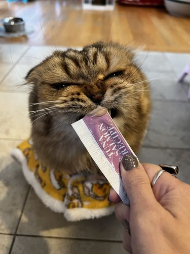 Customer photo review of 12x Packs (48 Tubes) Variety Mousse Bundle