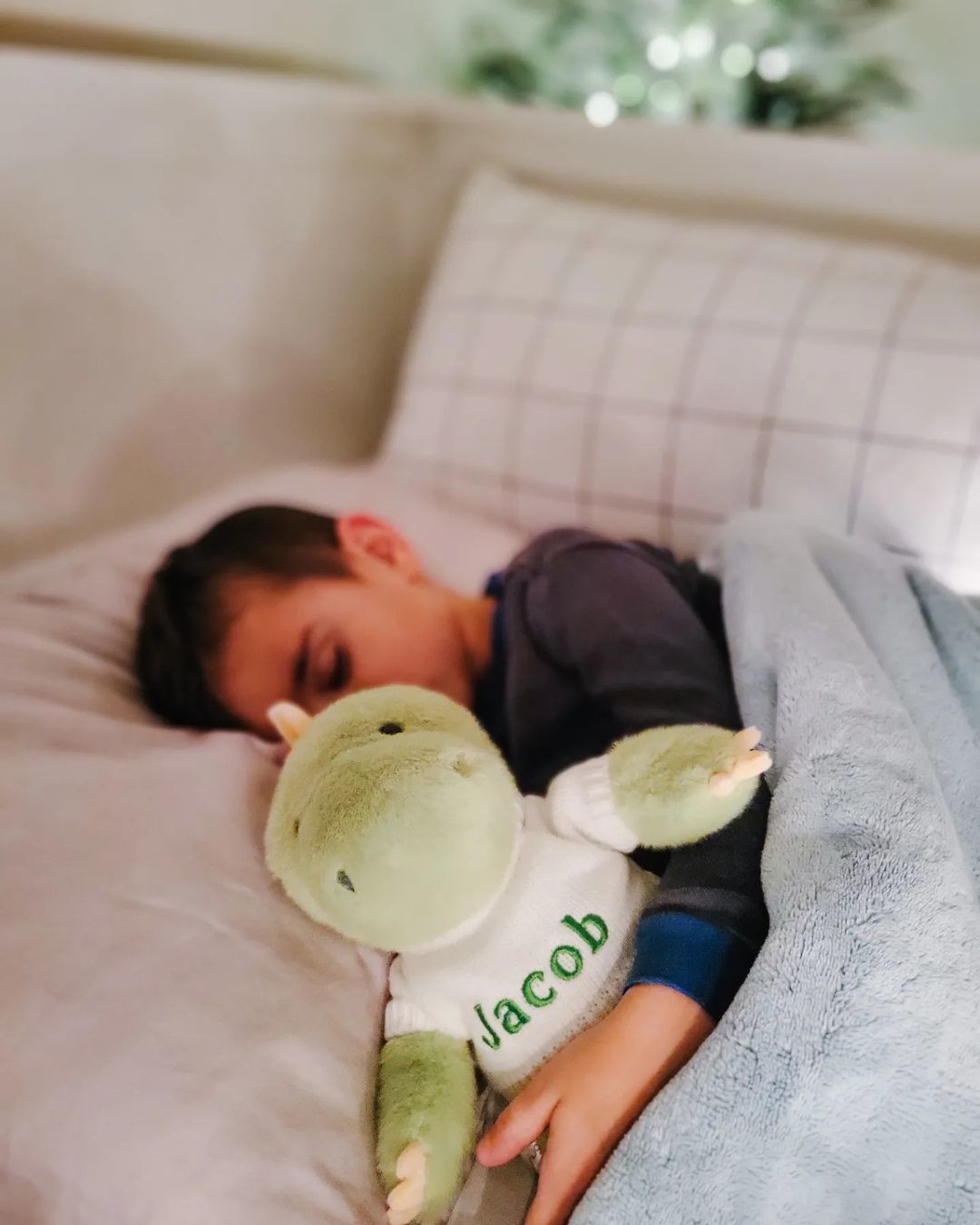 Customer photo review of Eddy the Dino