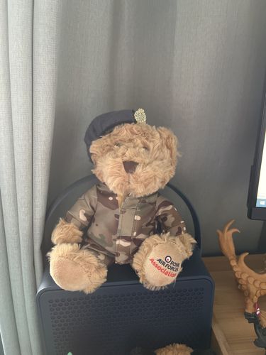 Customer photo review of MTP 6' RAF Beanie Bear