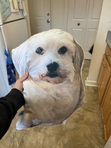 Customer photo review of Create A Custom Dog Pillow