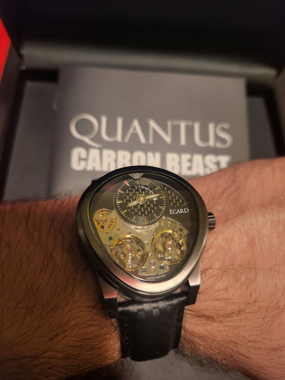 Customer photo review of Quantus Carbon-Beast AUTO