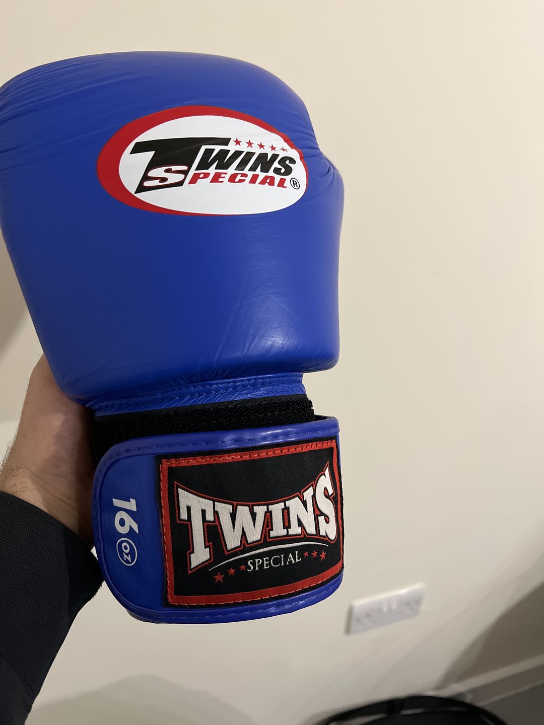 Customer photo review of Twins Special BGVL3 Blue Velcro Boxing Gloves
