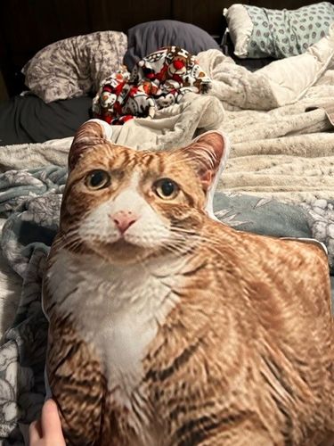 Customer photo review of Create A Custom Cat Pillow