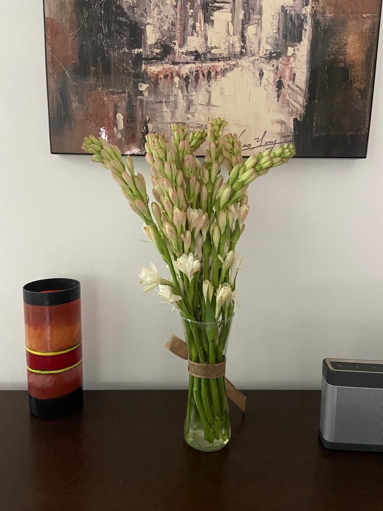 Customer photo review of Tube Roses "Rajnigandha"