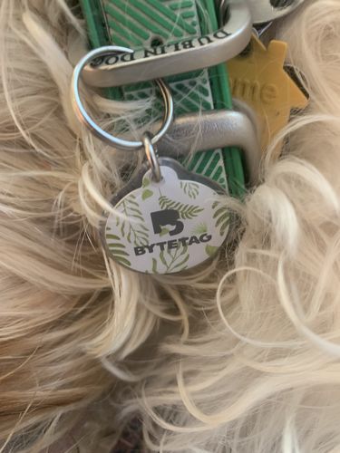 Customer photo review of Evergreen