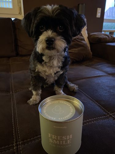 Customer photo review of Fresh Smile