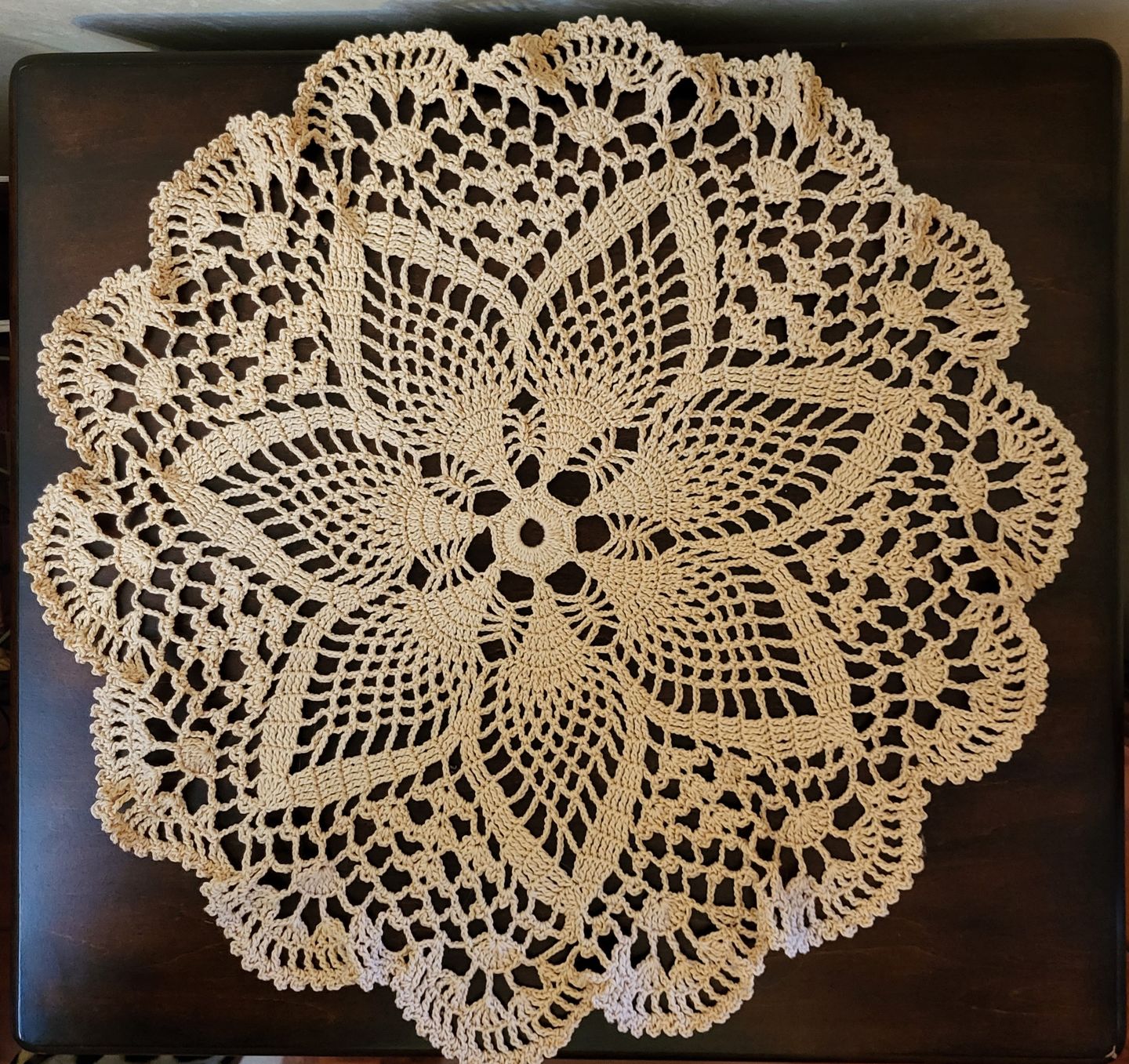 Customer photo review of DALIA [100grs] by Omega - Fine 100% Mercerized Cotton Thread for Crochet and Knitting