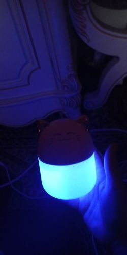 Customer photo review of Simply Meow Humidifier Night Light