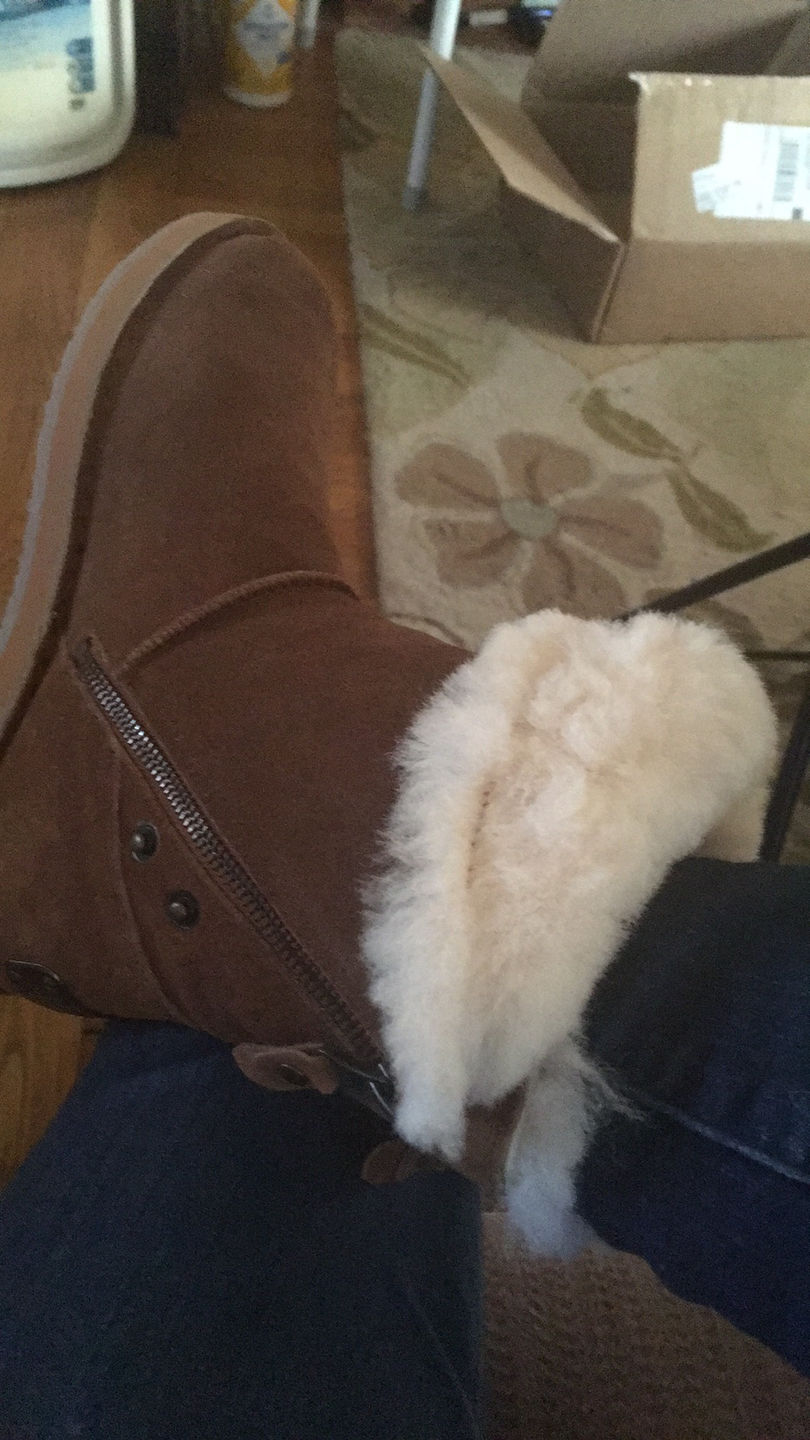 Customer photo review of LADIES TRIXIE SHEEPSKIN BOOT