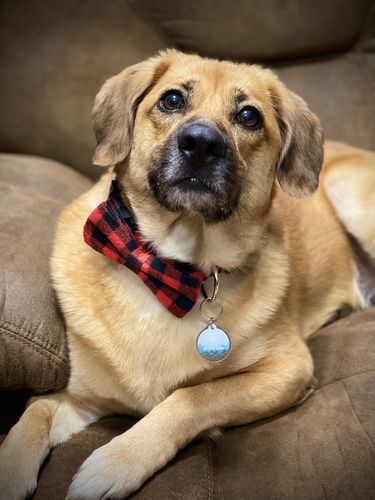 Customer photo review of Explorer