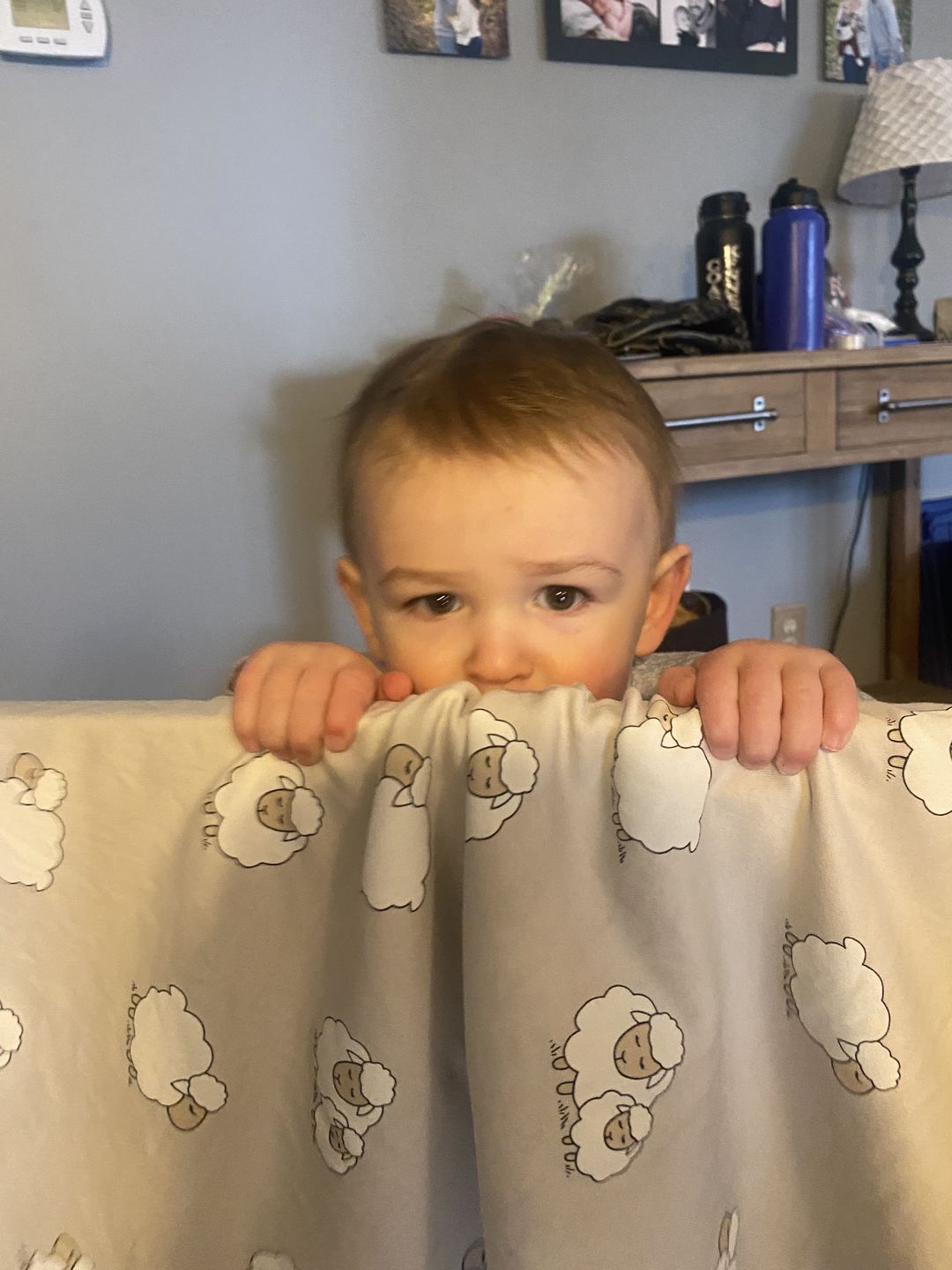 Customer photo review of Toddler Blanket, 4 Season® Merino Wool & Organic Cotton Blanket, 52.5" x 40", Sheep