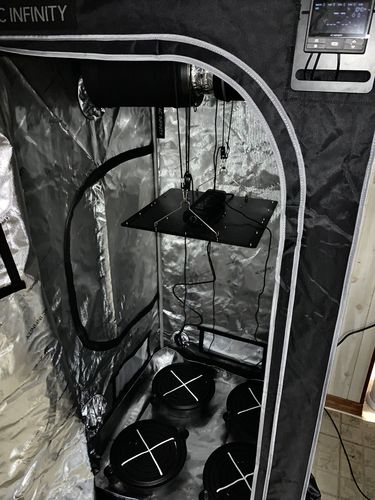 Customer photo review of 3x3 Indoor Grow Tent Kit, AC Infinity 3 Plant Kit