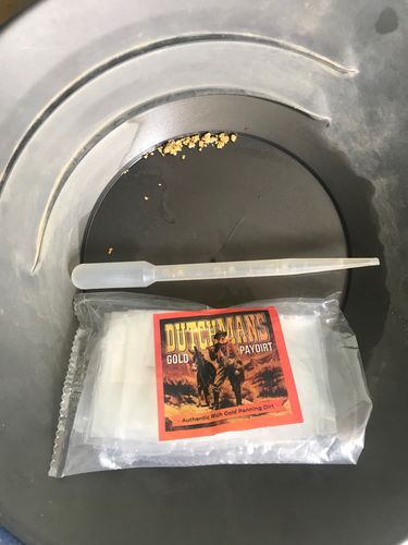 Customer photo review of Dutchman's 'Lost Treasure' Gold Paydirt - Gold Prospecting Concentrate