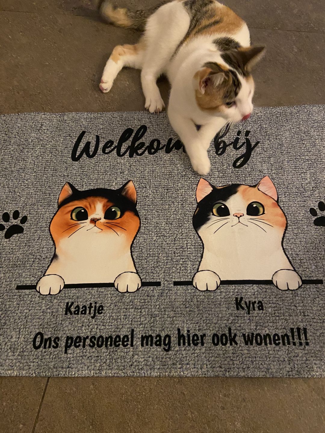 Customer photo review of Welkom bij nieuwsgierige katten - Gepersonaliseerde deurmat