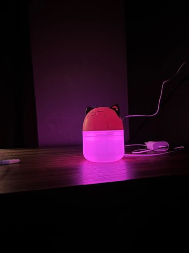 Customer photo review of Simply Meow Humidifier Night Light