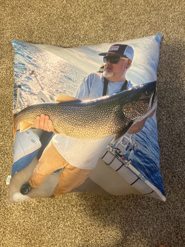 Customer photo review of Create A Custom Anything Pillow